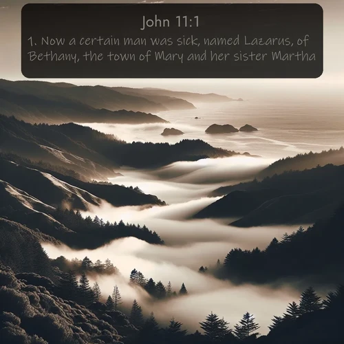 citation biblique : 1. Now a certain man was sick, named Lazarus, of Bethany, the town of Mary and her sister Martha.
 sur fond image nature