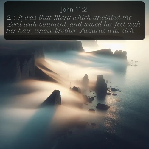 citation biblique : 2. (It was that Mary which anointed the Lord with ointment, and wiped his feet with her hair, whose brother Lazarus was sick.)
 sur fond image nature