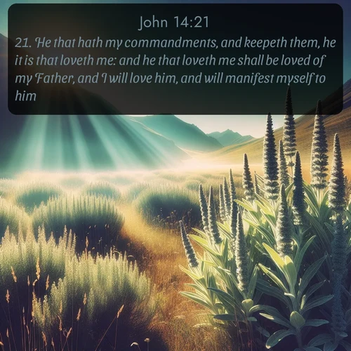 citation biblique : 21. He that hath my commandments, and keepeth them, he it is that loveth me: and he that loveth me shall be loved of my Father, and I will love him, and will manifest myself to him.
 sur fond image nature