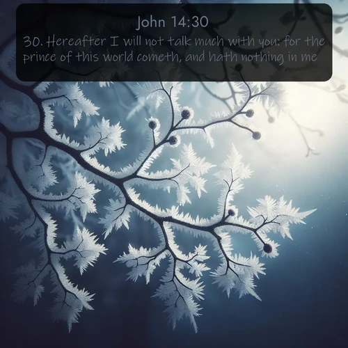 citation biblique : 30. Hereafter I will not talk much with you: for the prince of this world cometh, and hath nothing in me.
 sur fond image nature