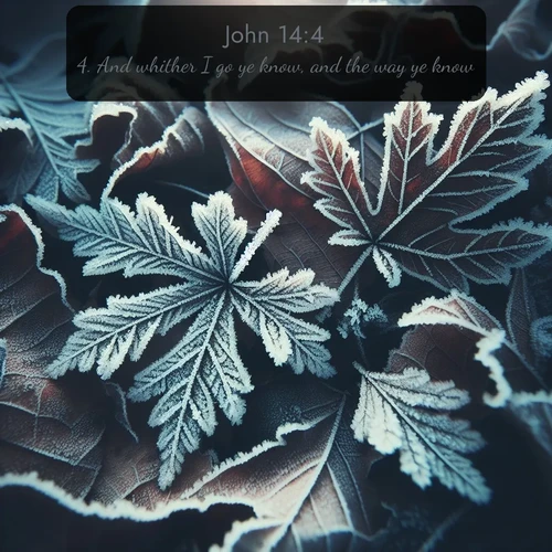 citation biblique : 4. And whither I go ye know, and the way ye know.
 sur fond image nature