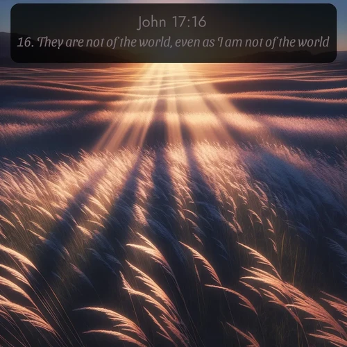 KJV Gospel of John 17:16 overlaying nature image scene: Summer breeze ripples through fields of prairie grass.;16. They are not of the world, even as I am not of the world.
