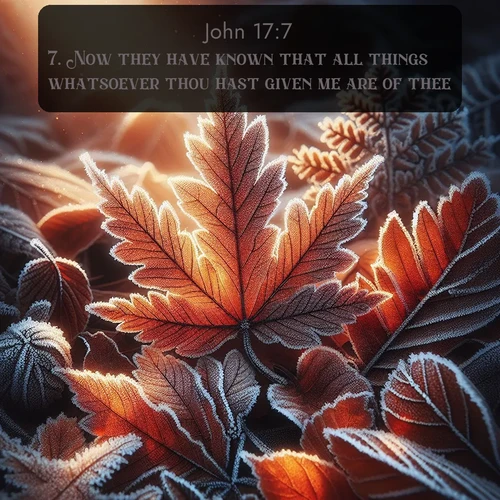 citation biblique : 7. Now they have known that all things whatsoever thou hast given me are of thee.
 sur fond image nature