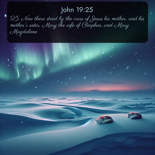 KJV Gospel of John 19:25 overlaying nature image scene: Northern lights dance across the frozen tundra in ribbons of green and purple. Snow falls silently on sleeping arctic foxes.;25. Now there stood by the cross of Jesus his mother, and his mother's sister, Mary the wife of Cleophas, and Mary Magdalene.
