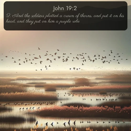 KJV 43 19:2