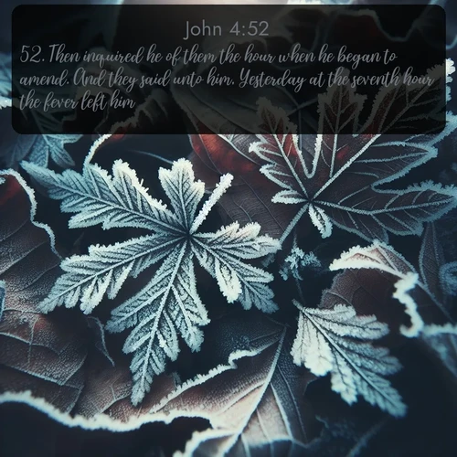 KJV Gospel of John  ; image nature: image with the bible verse :Then inquired he of them the hour when he began to amend. And they said unto him, Yesterday at the seventh hour the fever left him. ; Discover a gallery of Bible verse images showcasing the beauty of autumn, with golden leaves, red forests, and peaceful fields bathed in soft light. These soothing scenes are perfect for accompanying inspiring verses like KJV Gospel of John 4:52. Current verse is overlayed with the thematic nature scene : Winter frost creates delicate patterns on fallen leaves. ; 4:52