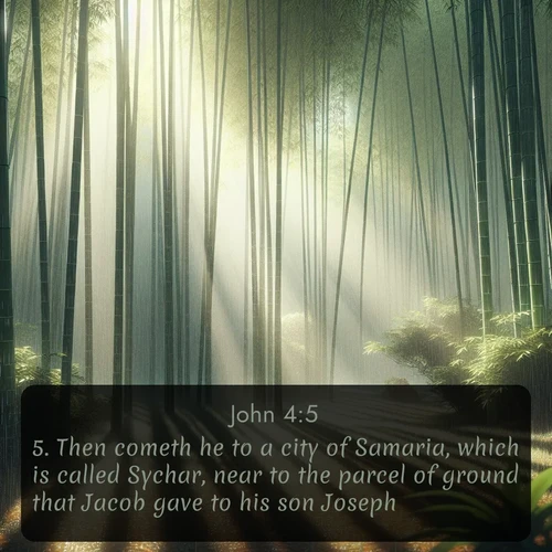 citation biblique : 5. Then cometh he to a city of Samaria, which is called Sychar, near to the parcel of ground that Jacob gave to his son Joseph.
 sur fond image nature