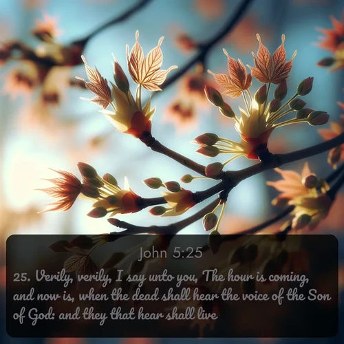 citation biblique : 25. Verily, verily, I say unto you, The hour is coming, and now is, when the dead shall hear the voice of the Son of God: and they that hear shall live.
 sur fond image nature