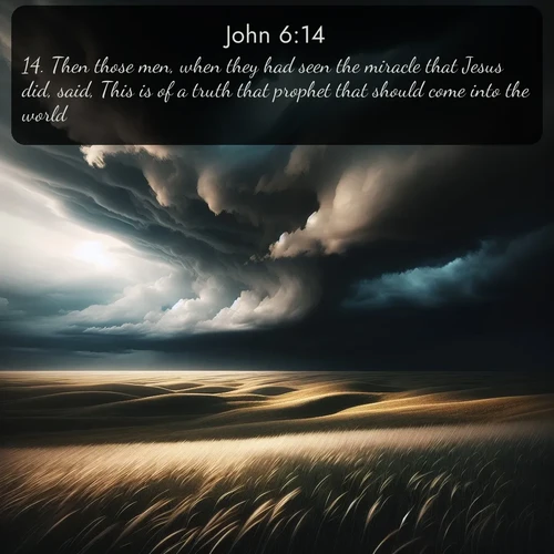 citation biblique : 14. Then those men, when they had seen the miracle that Jesus did, said, This is of a truth that prophet that should come into the world.
 sur fond image nature