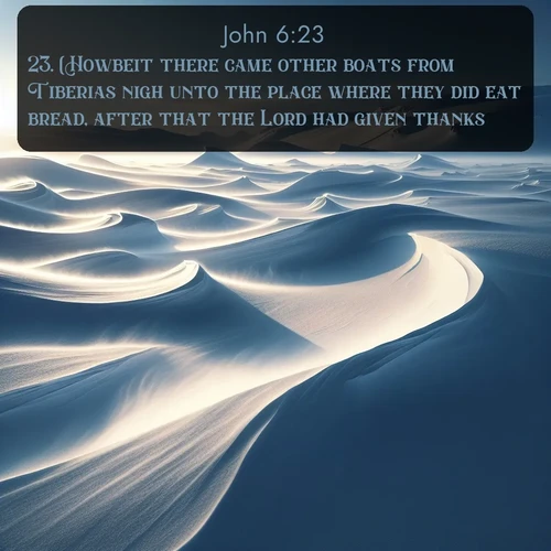 citation biblique : 23. (Howbeit there came other boats from Tiberias nigh unto the place where they did eat bread, after that the Lord had given thanks:)
 sur fond image nature