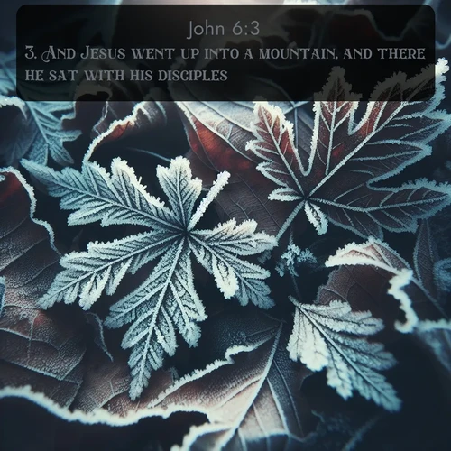citation biblique : 3. And Jesus went up into a mountain, and there he sat with his disciples.
 sur fond image nature