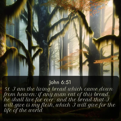 citation biblique : 51. I am the living bread which came down from heaven: if any man eat of this bread, he shall live for ever: and the bread that I will give is my flesh, which I will give for the life of the world.
 sur fond image nature