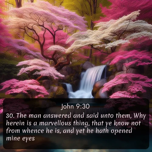 KJV Gospel of John  ; image nature: image with the bible verse :The man answered and said unto them, Why herein is a marvellous thing, that ye know not from whence he is, and yet he hath opened mine eyes. ; Explore Bible verses combined with serene beach photos, desert dunes, and infinite skies, highlighting God&#039;s majesty in every landscape. Download and share inspiring verses like KJV Gospel of John 9:30. Current verse is overlayed with the thematic nature scene : A spring cascade plunges into a pool surrounded by flowering dogwood. ; 9:30