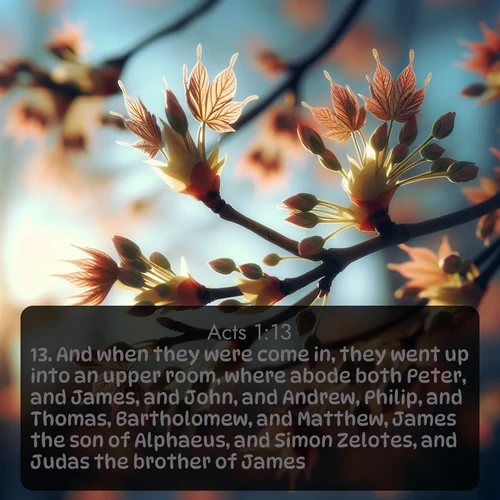 citation biblique : 13. And when they were come in, they went up into an upper room, where abode both Peter, and James, and John, and Andrew, Philip, and Thomas, Bartholomew, and Matthew, James the son of Alphaeus, and Simon Zelotes, and Judas the brother of James.
 sur fond image nature