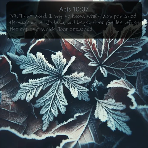 citation biblique : 37. That word, I say, ye know, which was published throughout all Judaea, and began from Galilee, after the baptism which John preached;
 sur fond image nature