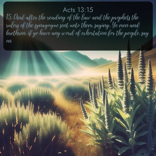 citation biblique : 15. And after the reading of the law and the prophets the rulers of the synagogue sent unto them, saying, Ye men and brethren, if ye have any word of exhortation for the people, say on.
 sur fond image nature