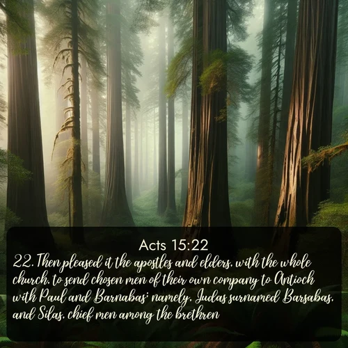 citation biblique : 22. Then pleased it the apostles and elders, with the whole church, to send chosen men of their own company to Antioch with Paul and Barnabas; namely, Judas surnamed Barsabas, and Silas, chief men among the brethren:
 sur fond image nature