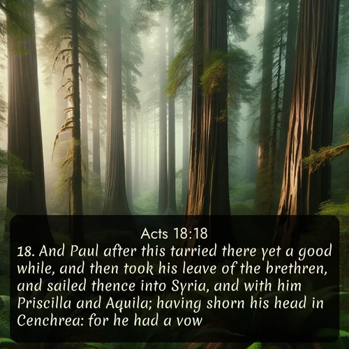 citation biblique : 18. And Paul after this tarried there yet a good while, and then took his leave of the brethren, and sailed thence into Syria, and with him Priscilla and Aquila; having shorn his head in Cenchrea: for he had a vow.
 sur fond image nature