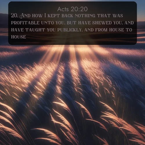 citation biblique : 20. And how I kept back nothing that was profitable unto you, but have shewed you, and have taught you publickly, and from house to house,
 sur fond image nature
