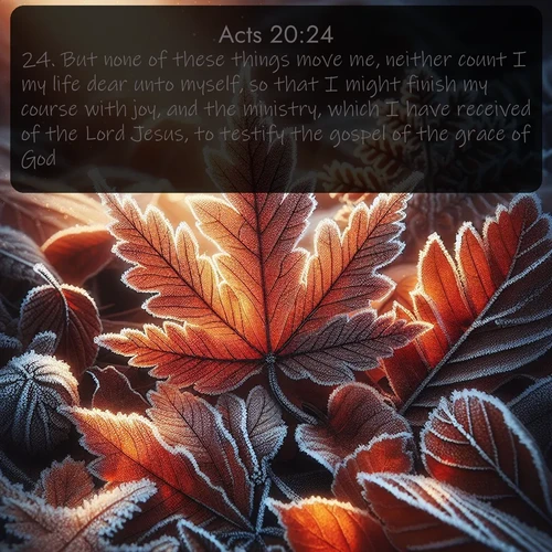 citation biblique : 24. But none of these things move me, neither count I my life dear unto myself, so that I might finish my course with joy, and the ministry, which I have received of the Lord Jesus, to testify the gospel of the grace of God.
 sur fond image nature