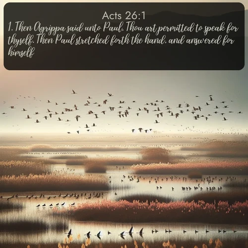 citation biblique : 1. Then Agrippa said unto Paul, Thou art permitted to speak for thyself. Then Paul stretched forth the hand, and answered for himself:
 sur fond image nature