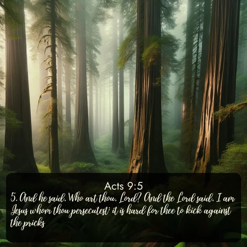 citation biblique : 5. And he said, Who art thou, Lord? And the Lord said, I am Jesus whom thou persecutest: it is hard for thee to kick against the pricks.
 sur fond image nature