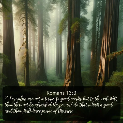 citation biblique : 3. For rulers are not a terror to good works, but to the evil. Wilt thou then not be afraid of the power? do that which is good, and thou shalt have praise of the same:
 sur fond image nature