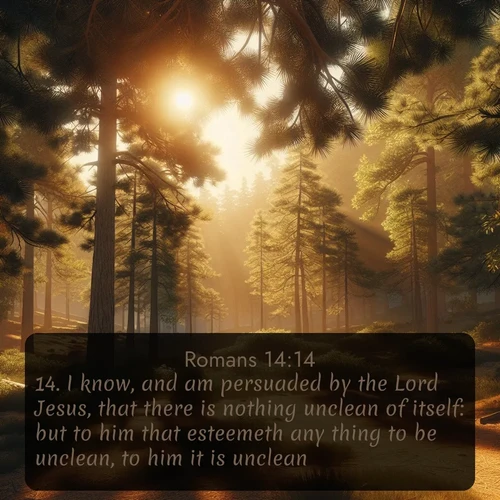 citation biblique : 14. I know, and am persuaded by the Lord Jesus, that there is nothing unclean of itself: but to him that esteemeth any thing to be unclean, to him it is unclean.
 sur fond image nature