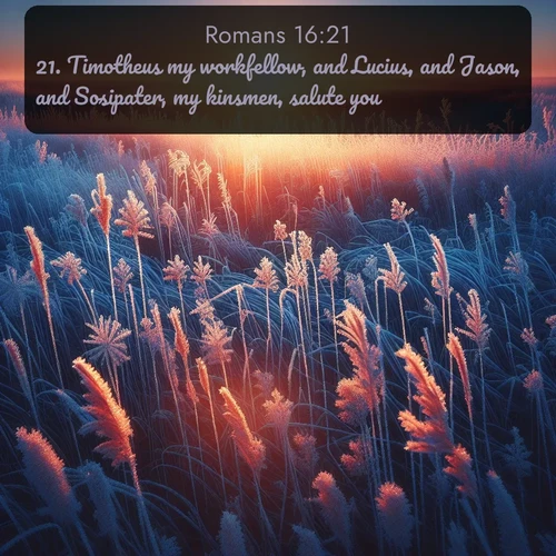 citation biblique : 21. Timotheus my workfellow, and Lucius, and Jason, and Sosipater, my kinsmen, salute you.
 sur fond image nature