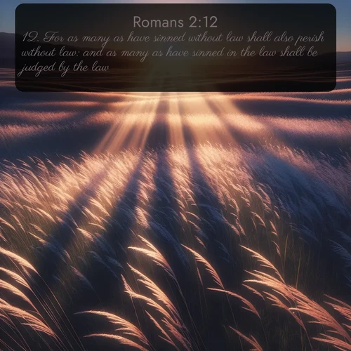 citation biblique : 12. For as many as have sinned without law shall also perish without law: and as many as have sinned in the law shall be judged by the law;
 sur fond image nature