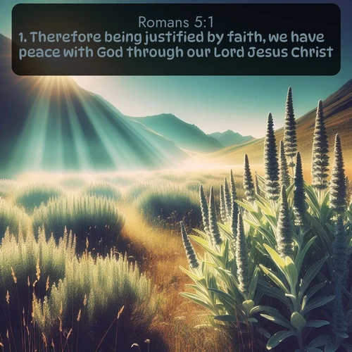 citation biblique : 1. Therefore being justified by faith, we have peace with God through our Lord Jesus Christ:
 sur fond image nature