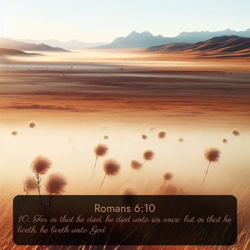 citation biblique : 10. For in that he died, he died unto sin once: but in that he liveth, he liveth unto God.
 sur fond image nature