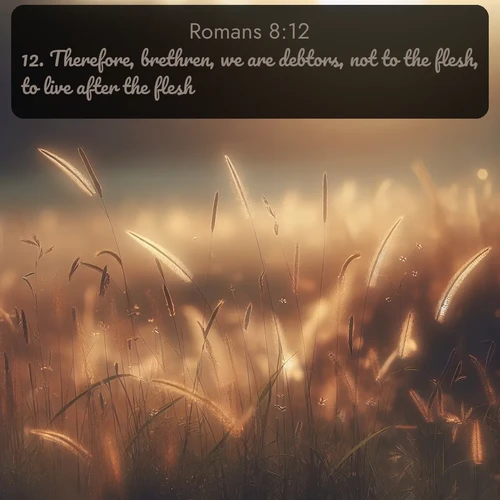 citation biblique : 12. Therefore, brethren, we are debtors, not to the flesh, to live after the flesh.
 sur fond image nature