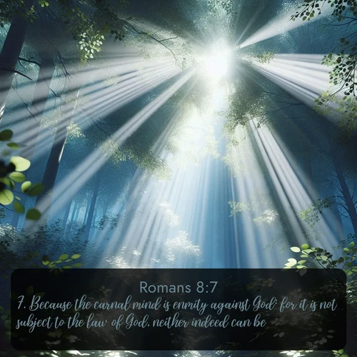 citation biblique : 7. Because the carnal mind is enmity against God: for it is not subject to the law of God, neither indeed can be.
 sur fond image nature