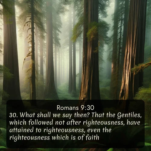 citation biblique : 30. What shall we say then? That the Gentiles, which followed not after righteousness, have attained to righteousness, even the righteousness which is of faith.
 sur fond image nature