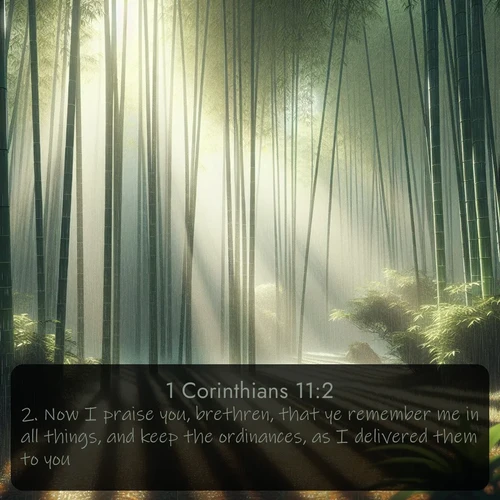 KJV 1 Corinthians  ; image nature: image with the bible verse :Now I praise you, brethren, that ye remember me in all things, and keep the ordinances, as I delivered them to you. ; Explore Bible verses combined with serene beach photos, desert dunes, and infinite skies, highlighting God&#039;s majesty in every landscape. Download and share inspiring verses like KJV 1 Corinthians 11:2. Current verse is overlayed with the thematic nature scene : Bamboo forests cast striped shadows while a gentle rain patters on broad leaves. ; 11:2