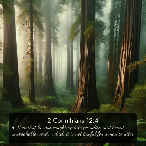 citation biblique : 4. How that he was caught up into paradise, and heard unspeakable words, which it is not lawful for a man to utter.
 sur fond image nature