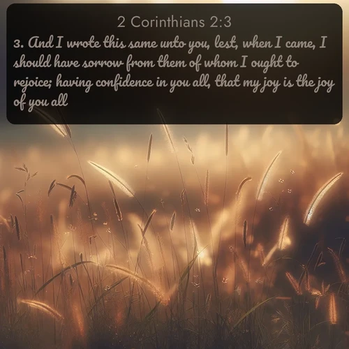 KJV 2 Corinthians  ; image nature: image with the bible verse :And I wrote this same unto you, lest, when I came, I should have sorrow from them of whom I ought to rejoice; having confidence in you all, that my joy is the joy of you all. ; Browse our selection of stunning Bible verse images featuring unique natural scenes like fiery autumn forests, serene meadows, and starlit skies. Download and share verses like KJV 2 Corinthians 2:3 for free. Current verse is overlayed with the thematic nature scene : Summer heat brings out cricket songs in meadow grass. ; 2:3