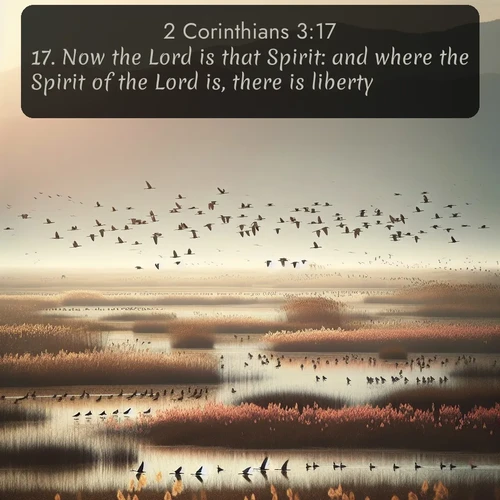 citation biblique : 17. Now the Lord is that Spirit: and where the Spirit of the Lord is, there is liberty.
 sur fond image nature