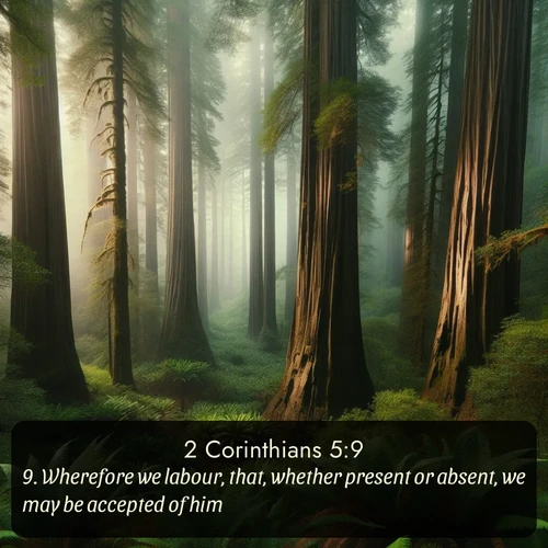 citation biblique : 9. Wherefore we labour, that, whether present or absent, we may be accepted of him.
 sur fond image nature