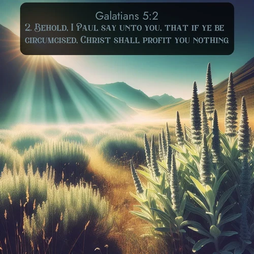 citation biblique : 2. Behold, I Paul say unto you, that if ye be circumcised, Christ shall profit you nothing.
 sur fond image nature