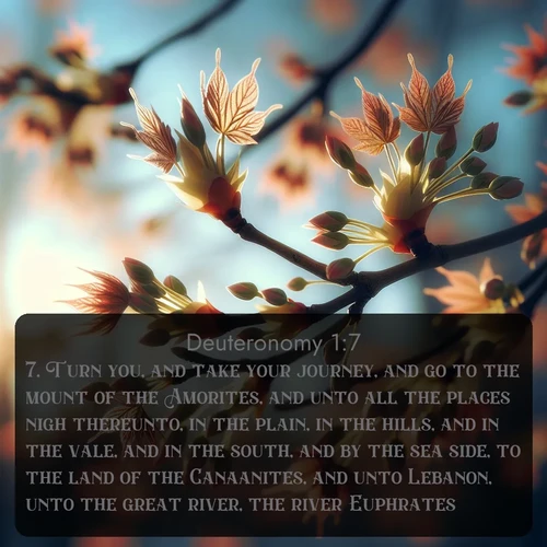 citation biblique : 7. Turn you, and take your journey, and go to the mount of the Amorites, and unto all the places nigh thereunto, in the plain, in the hills, and in the vale, and in the south, and by the sea side, to the land of the Canaanites, and unto Lebanon, unto the great river, the river Euphrates.
 sur fond image nature