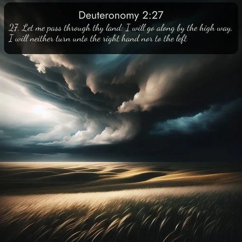 citation biblique : 27. Let me pass through thy land: I will go along by the high way, I will neither turn unto the right hand nor to the left.
 sur fond image nature