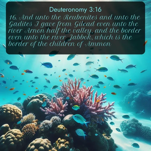 citation biblique : 16. And unto the Reubenites and unto the Gadites I gave from Gilead even unto the river Arnon half the valley, and the border even unto the river Jabbok, which is the border of the children of Ammon;
 sur fond image nature