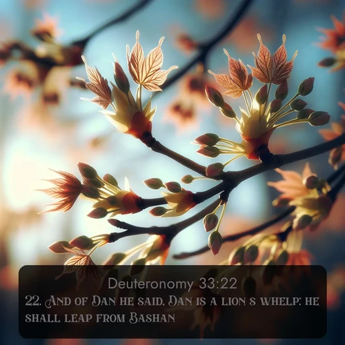 citation biblique : 22. And of Dan he said, Dan is a lion&#039;s whelp: he shall leap from Bashan.
 sur fond image nature