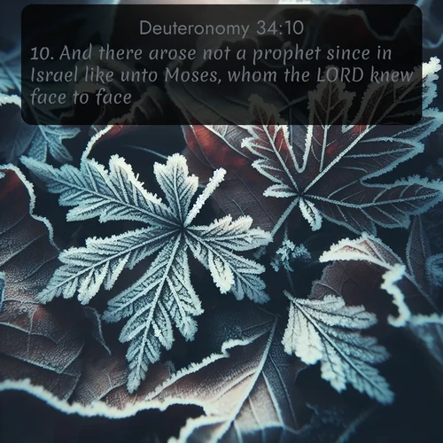 citation biblique : 10. And there arose not a prophet since in Israel like unto Moses, whom the LORD knew face to face,
 sur fond image nature