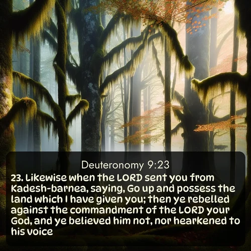 citation biblique : 23. Likewise when the LORD sent you from Kadesh-barnea, saying, Go up and possess the land which I have given you; then ye rebelled against the commandment of the LORD your God, and ye believed him not, nor hearkened to his voice.
 sur fond image nature