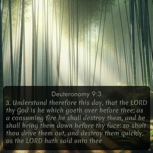 citation biblique : 3. Understand therefore this day, that the LORD thy God is he which goeth over before thee; as a consuming fire he shall destroy them, and he shall bring them down before thy face: so shalt thou drive them out, and destroy them quickly, as the LORD hath said unto thee.
 sur fond image nature