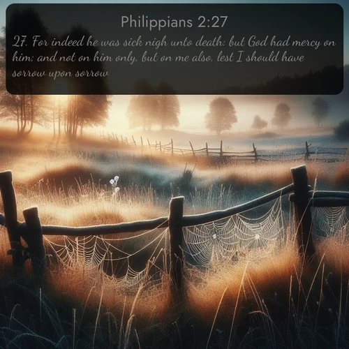 KJV Philippians 2:27 overlaying nature image scene: Morning frost coats spider webs stretched between fence posts in a country meadow.;27. For indeed he was sick nigh unto death: but God had mercy on him; and not on him only, but on me also, lest I should have sorrow upon sorrow.
