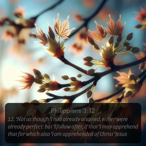 citation biblique : 12. Not as though I had already attained, either were already perfect: but I follow after, if that I may apprehend that for which also I am apprehended of Christ Jesus.
 sur fond image nature